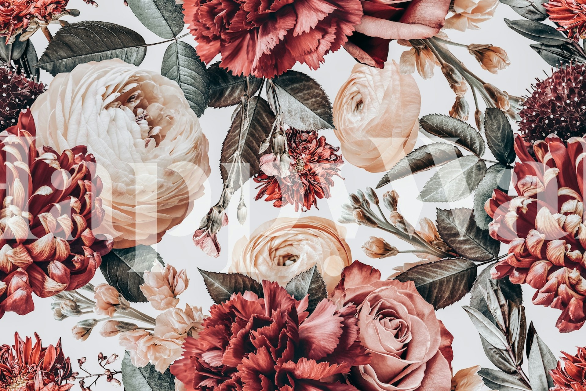 Floral pattern with red and cream roses and leaves wallpaper