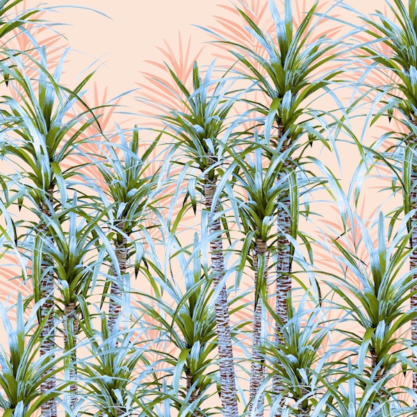 Pastel palm trees