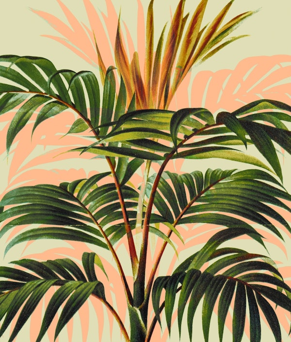 Botanical_Collection_017