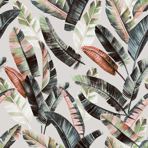 Winter palm trees TW