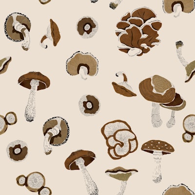 Pattern