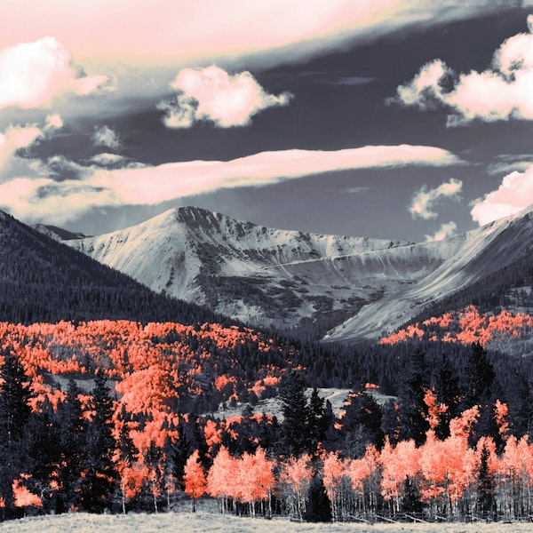 Wild landscape orange