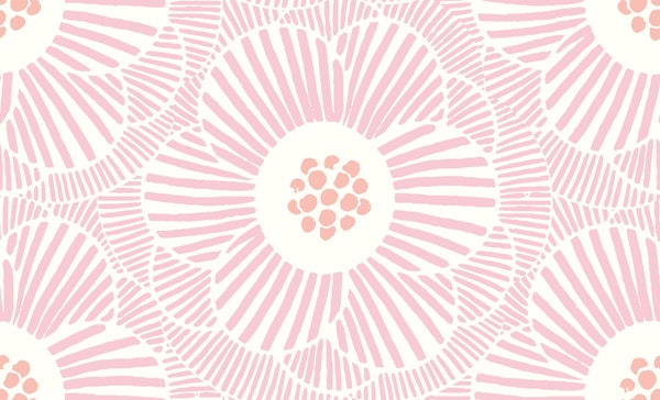 overlapping camellia - pink and peach