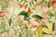 Sunny Day In The Birds Jungle