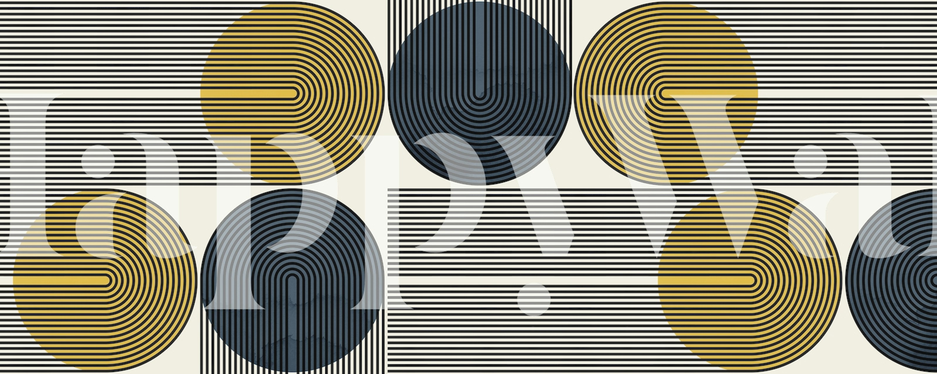 Lines and circles wallpaper design in a room