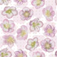 Christmas Roses 1