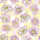 Christmas Roses 2