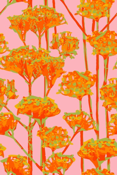 Pattern