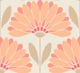 Peach Fuzz Daisies - Large