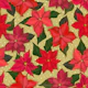 Poinsettias 2