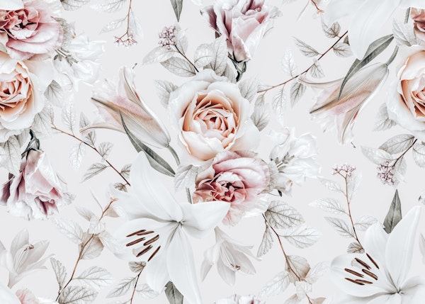 Arcane Rose Radiance