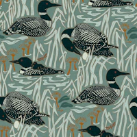 Loons on the lake at dawn wallpaper