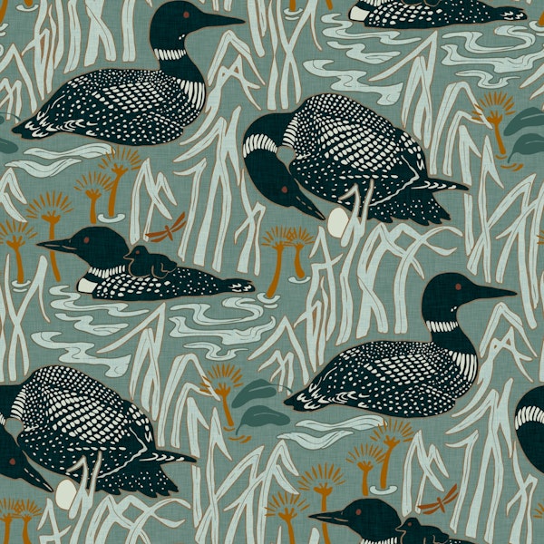 Loons on the lake at dawn