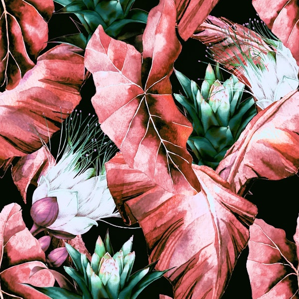 Dark tropical nature 03-1