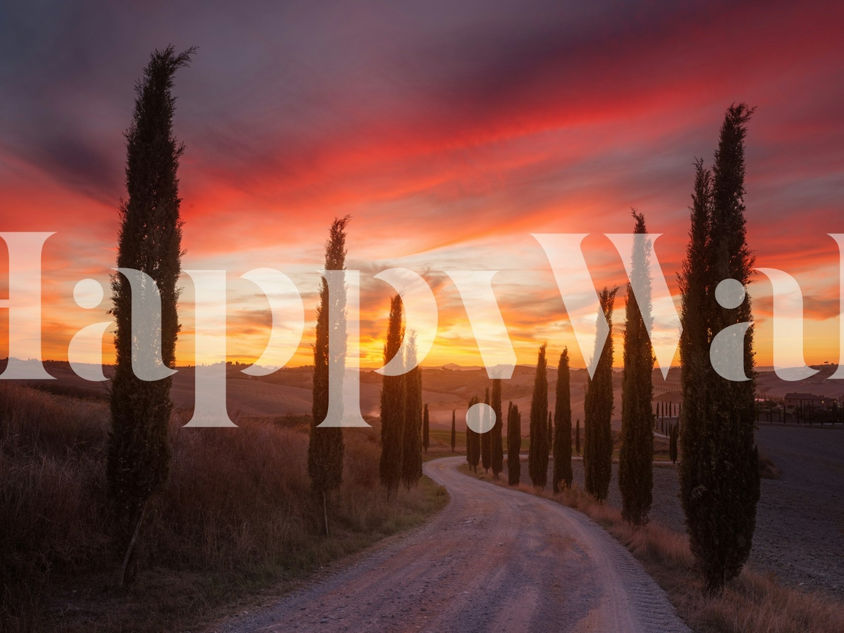 Tuscany sunset wallpaper displayed in a room