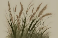 Peaceful Japandi Grass papiers peint