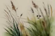 Japandi Wild Flowers