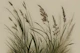 Scandinavian Japandi Meadow