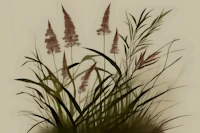 Scandinavian Japandi Garden papiers peint