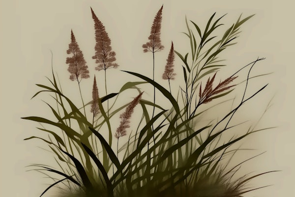 Scandinavian Japandi Garden