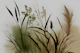 Moody Japandi Botanical