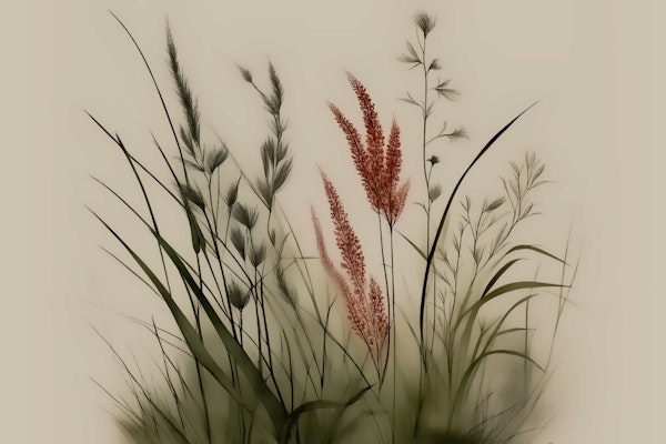 Moody Japandi Floral