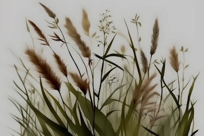 Mural
