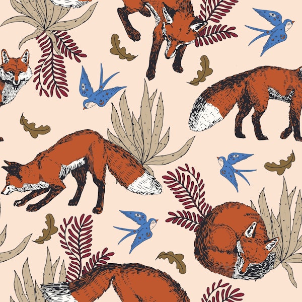 Fox in the bohemian desert