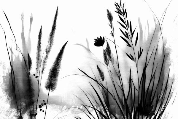Wild Flowers Black White