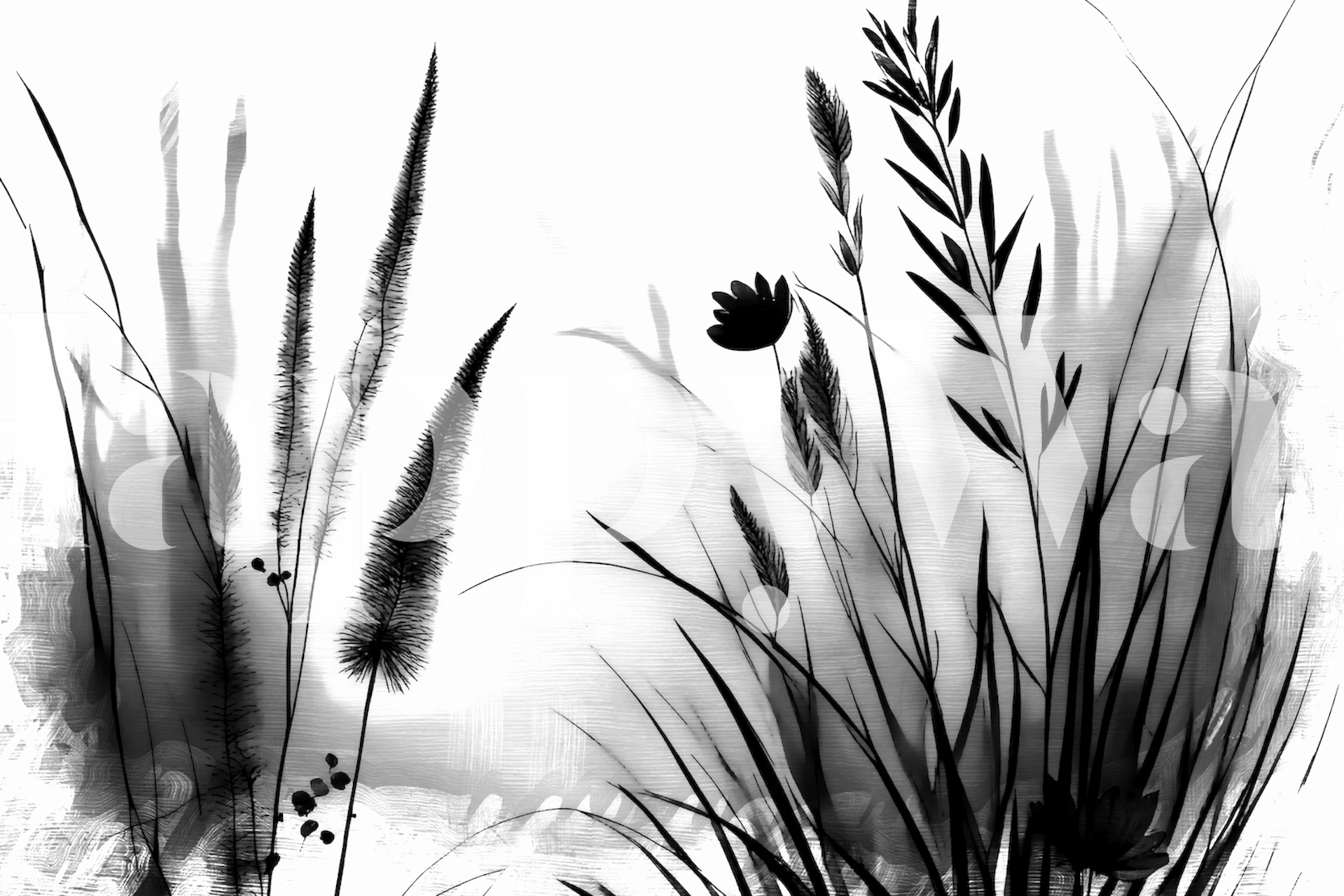 Elegant svart och vit tapet av vilda blommor med trasiga stjälkar och fina kronblad.