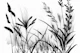 Delicate Wild Flowers
