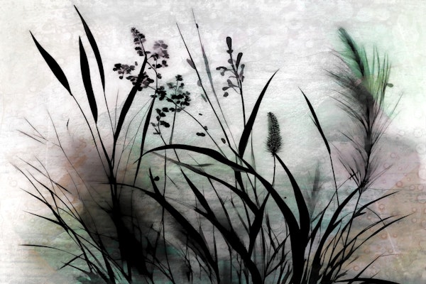 Mystic Wild Flower Meadow