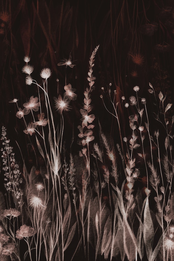 Mystic Wild Flower Meadow