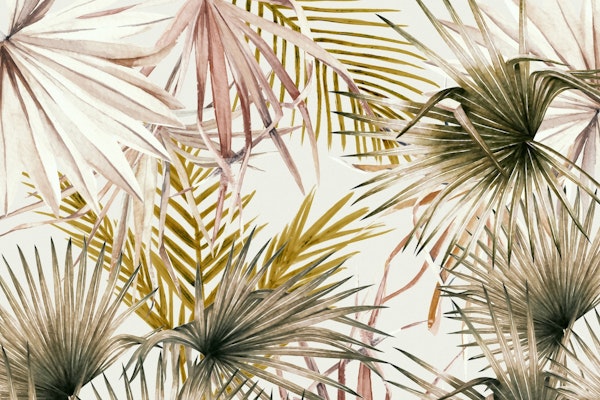Dream jungle paradise-56Y