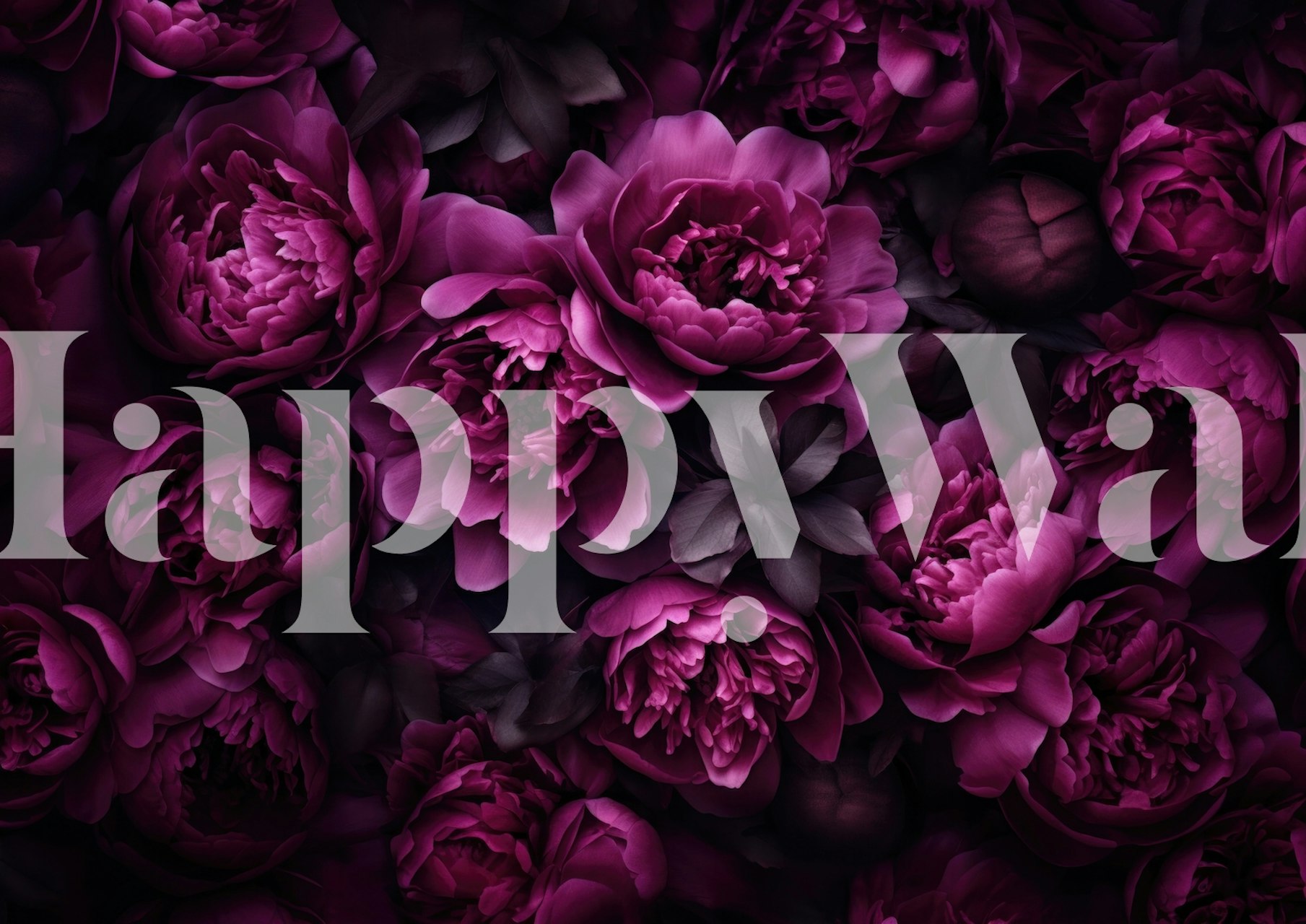 Floral Opulence With Stunning Pink Peonies design