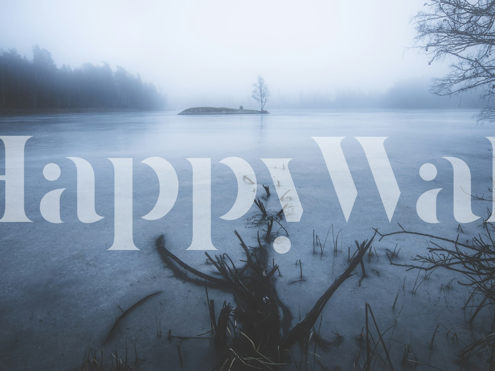 Foggy lake with dead tree branches and silhouettes wallpaper