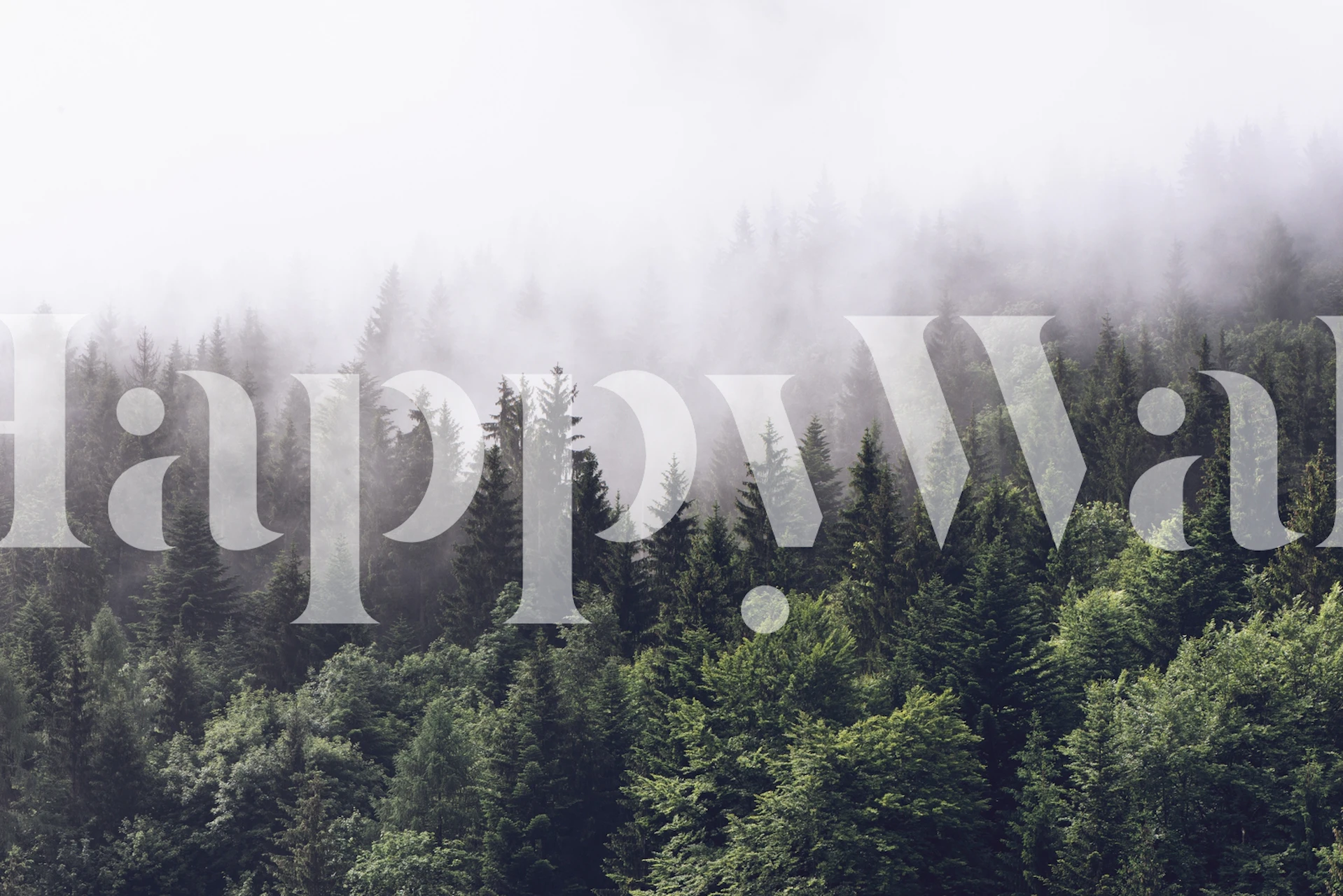 Magisk Cloudy forest Tapet och Väggmålning