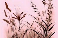 Dried Wildflowers carta da parati