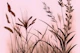 Dried Wildflowers