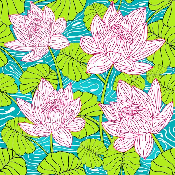 Pink lotus serene