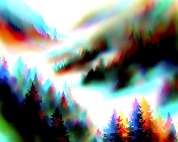 Contemporary Forest Art