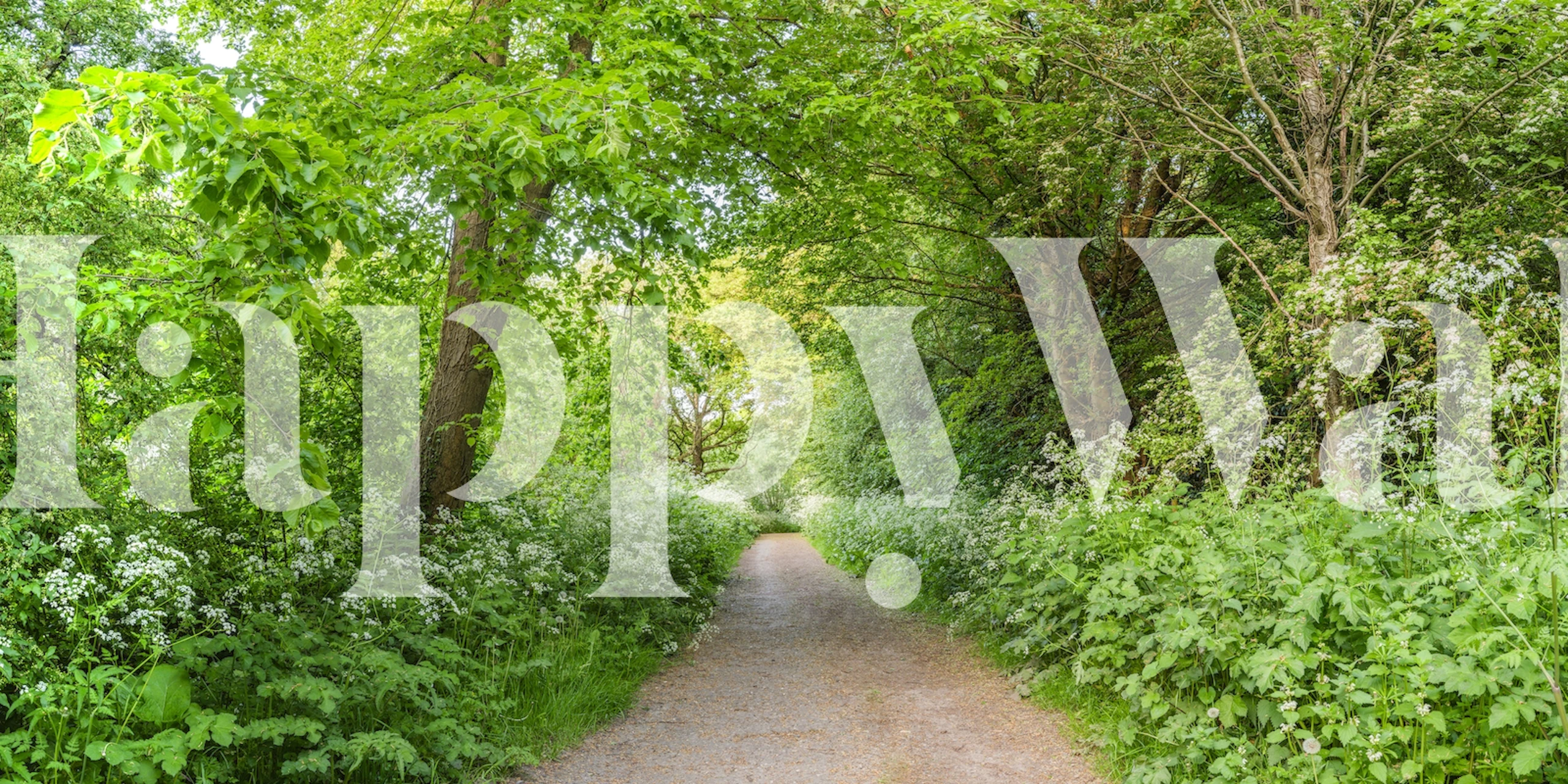 Woodland Whispers behang in een kamer