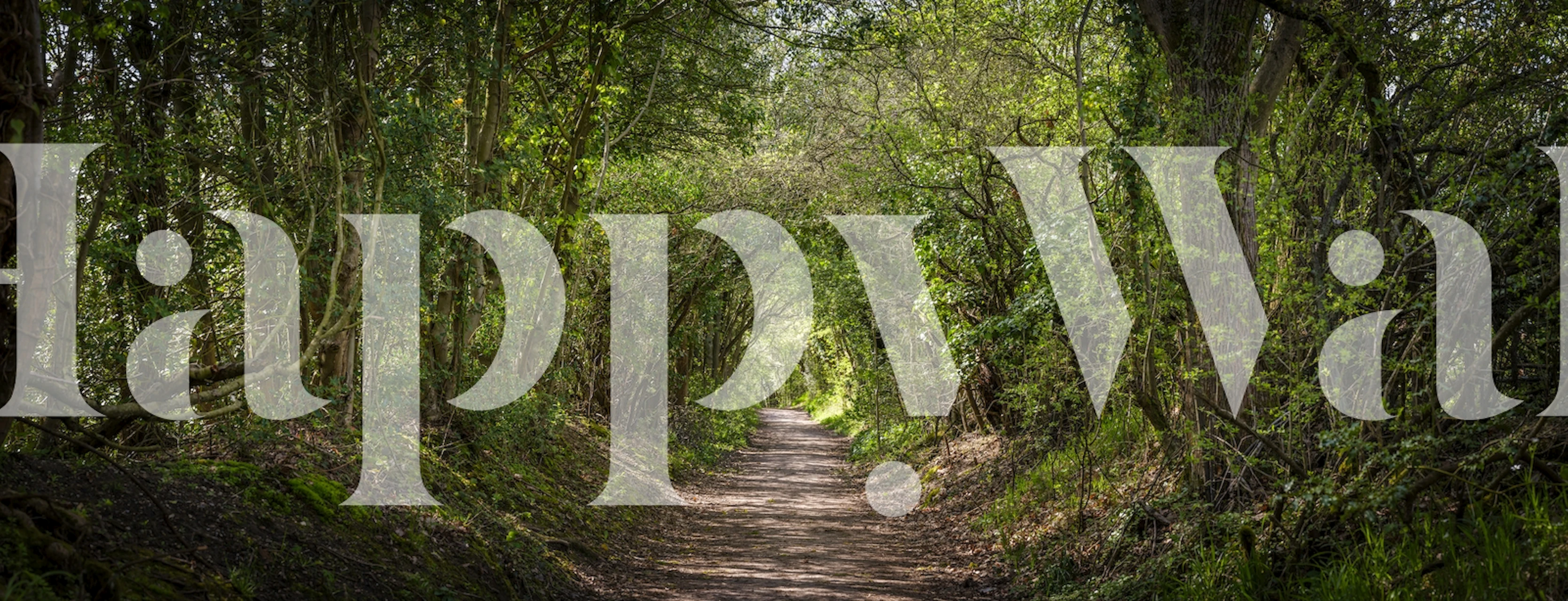 Spring's Pathway wallpaper in a room setting