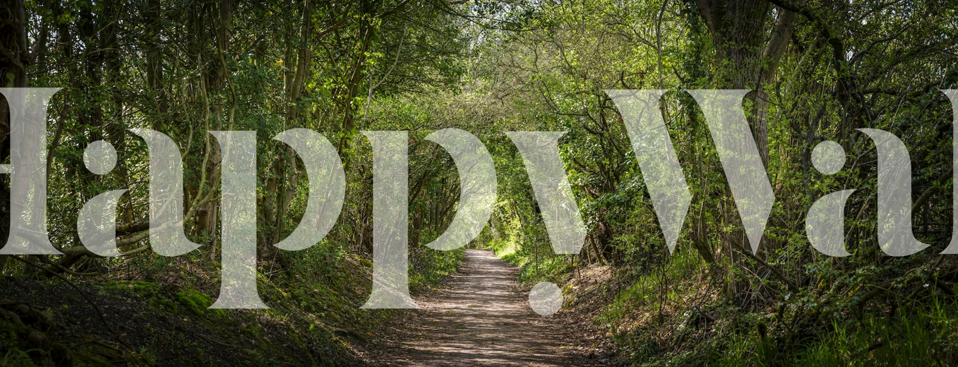 Ταπετσαρία Spring's Pathway σε ρύθμιση δωματίου