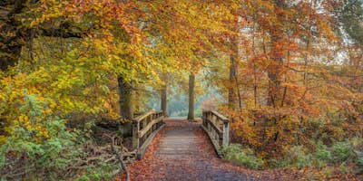 Τοιχογραφία