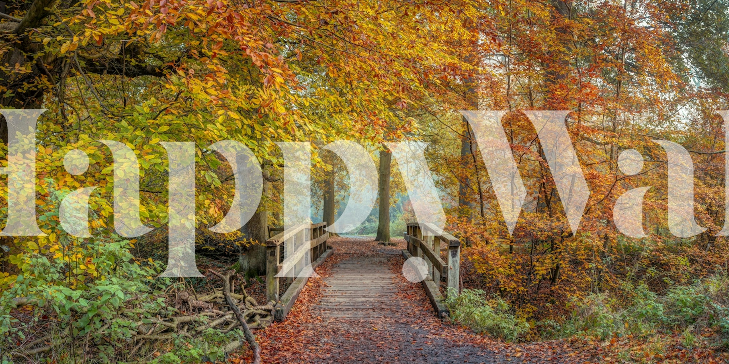 Ταπετσαρία Bridging Seasons σε ένα δωμάτιο