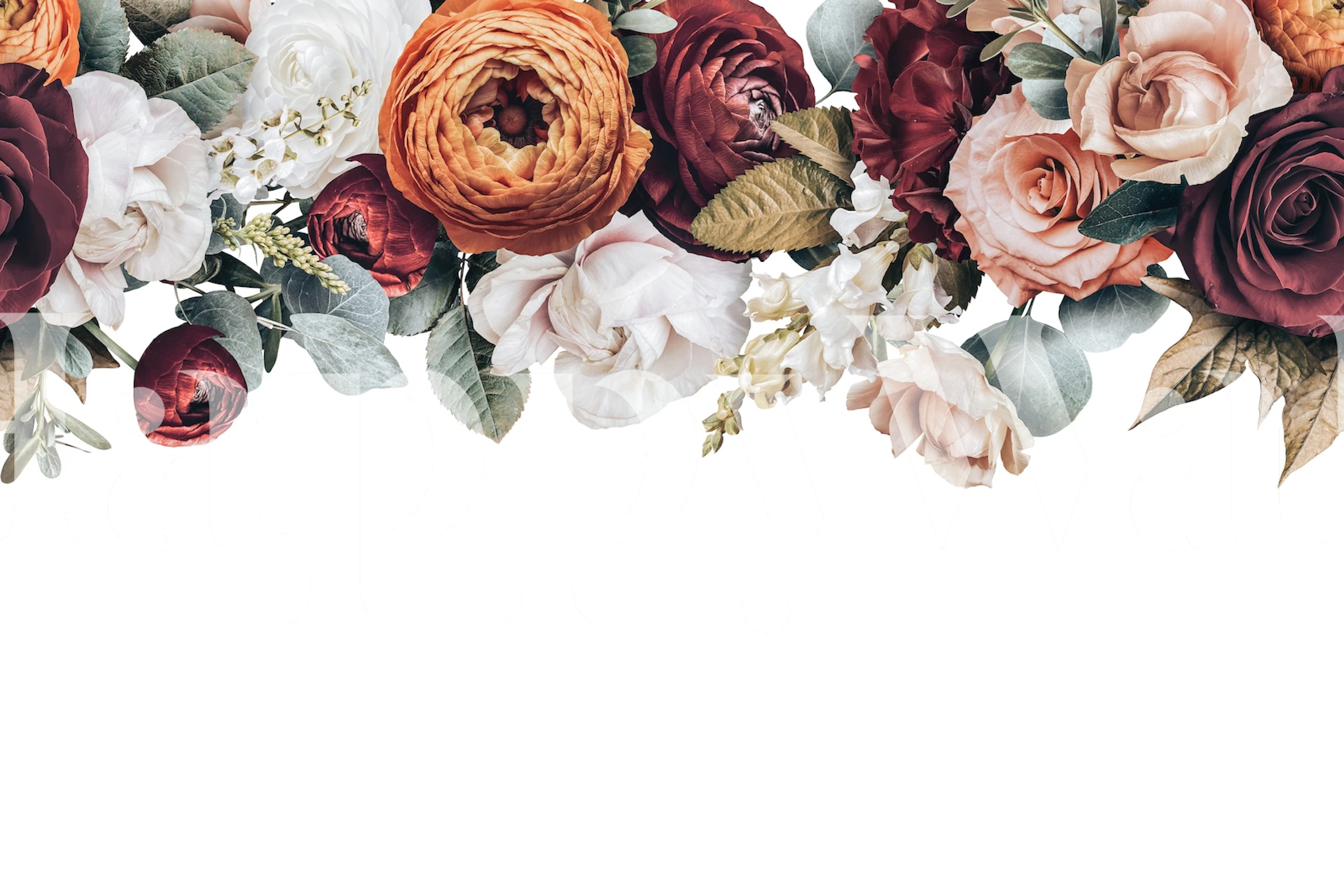 Mural de parede Ranunkulus Border com flores em bordô, pêssego e marfim