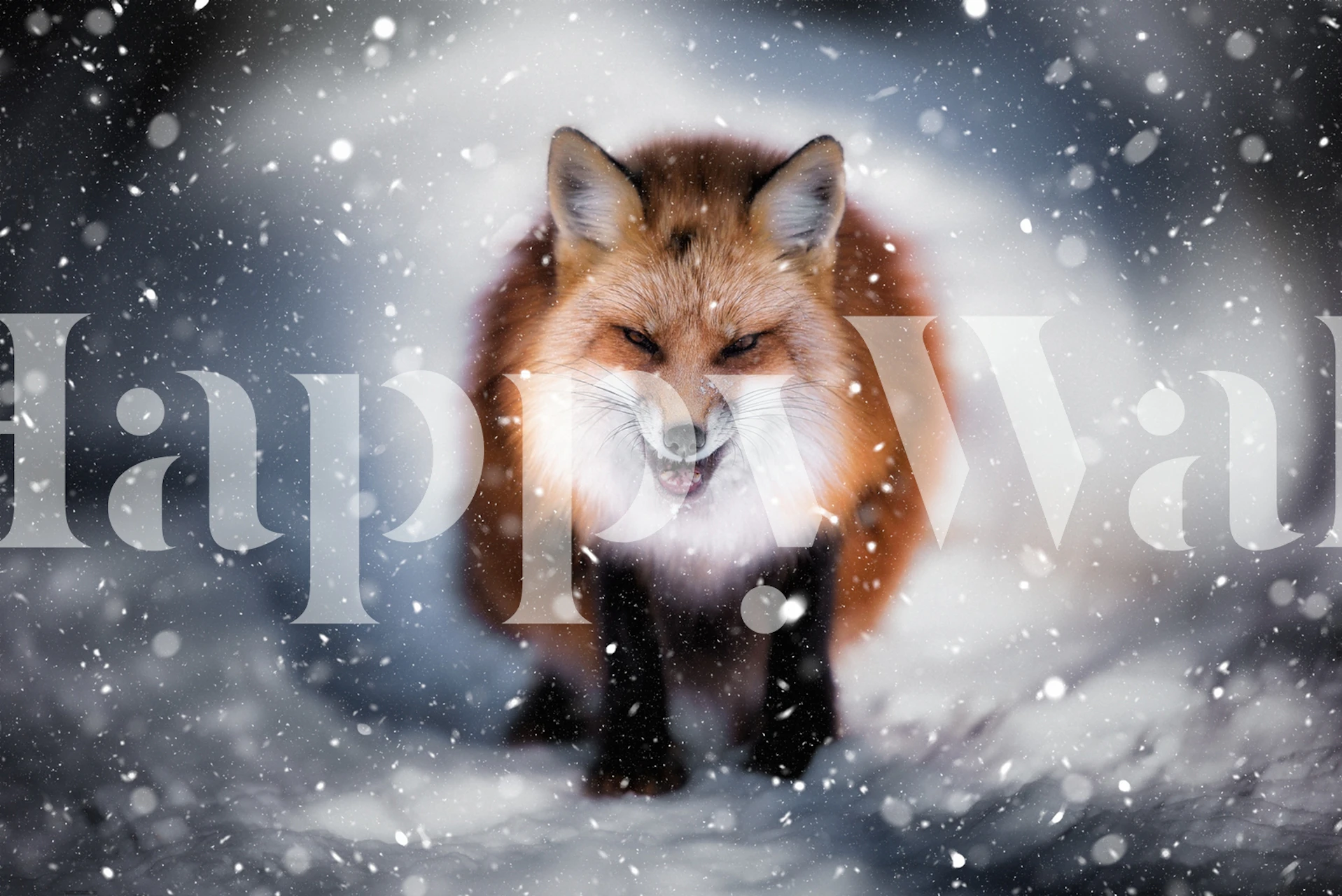 Red fox with snowy background animal wallpaper