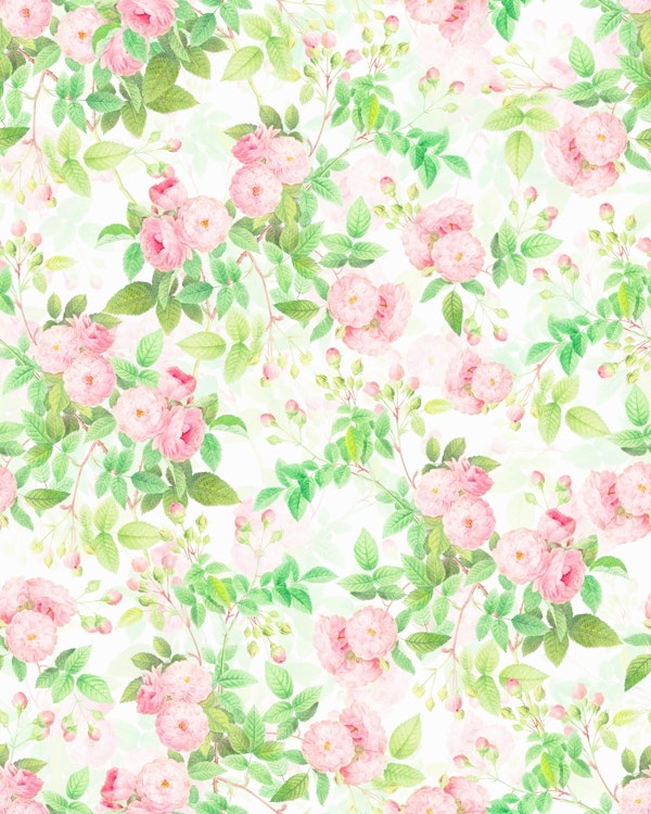 Redouté Rambler Roses Summer Garden