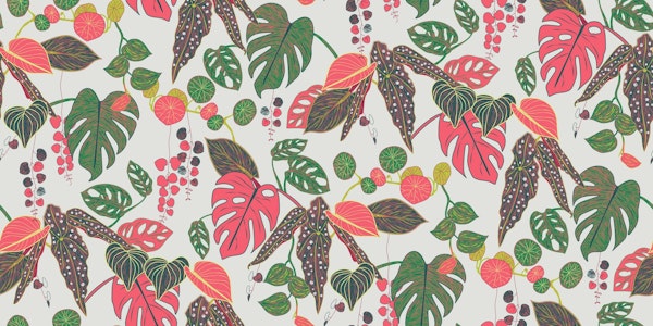 Favourite houseplants